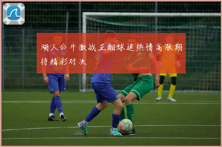 湖人公牛激战正酣球迷热情高涨期待精彩对决