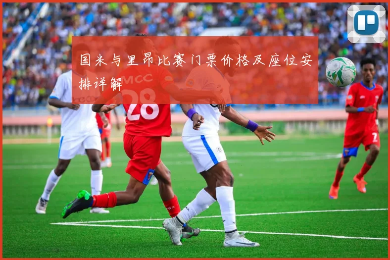 国米与里昂比赛门票价格及座位安排详解