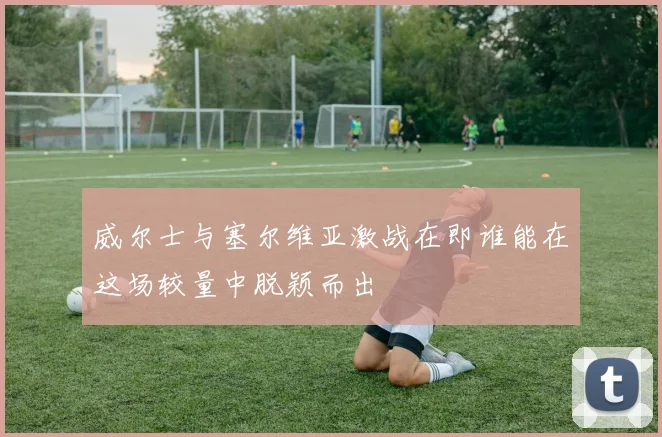 威尔士与塞尔维亚激战在即谁能在这场较量中脱颖而出