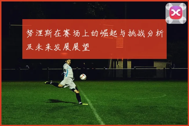 努涅斯在赛场上的崛起与挑战分析及未来发展展望