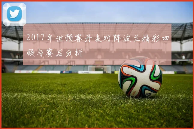2017年世预赛丹麦对阵波兰精彩回顾与赛后分析