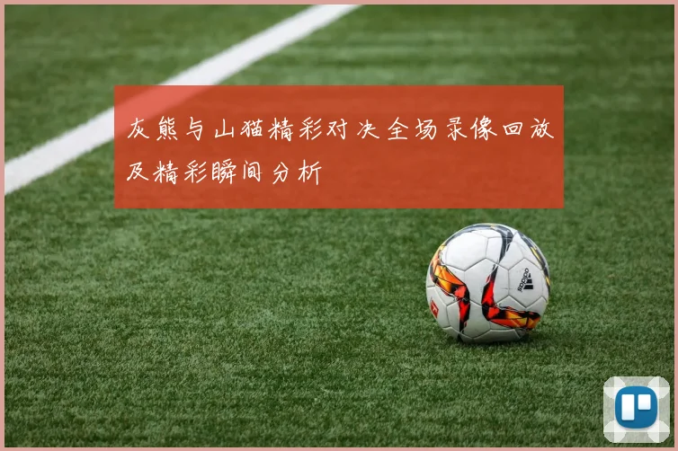 灰熊与山猫精彩对决全场录像回放及精彩瞬间分析