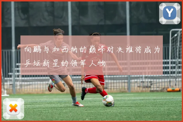 向鹏与加西纳的巅峰对决谁将成为乒坛新星的领军人物