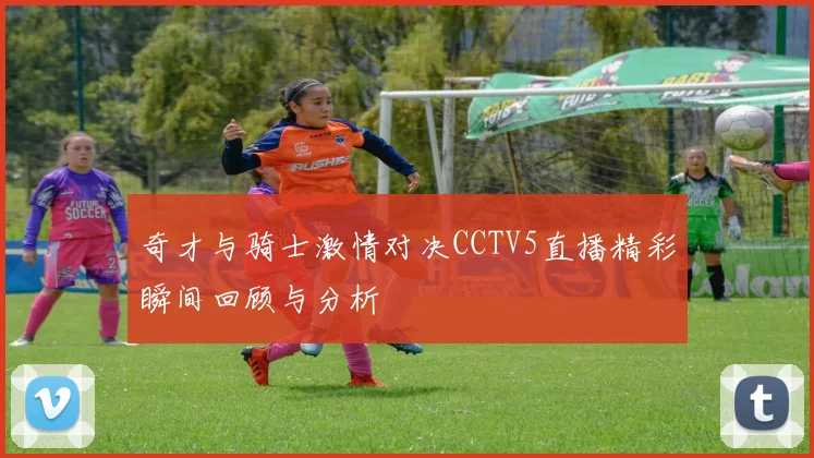 奇才与骑士激情对决CCTV5直播精彩瞬间回顾与分析