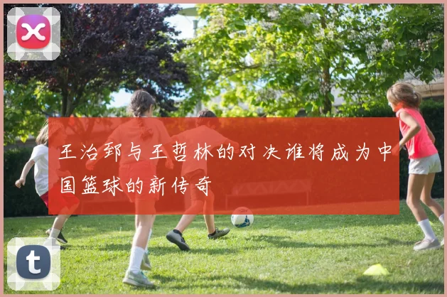 王治郅与王哲林的对决谁将成为中国篮球的新传奇